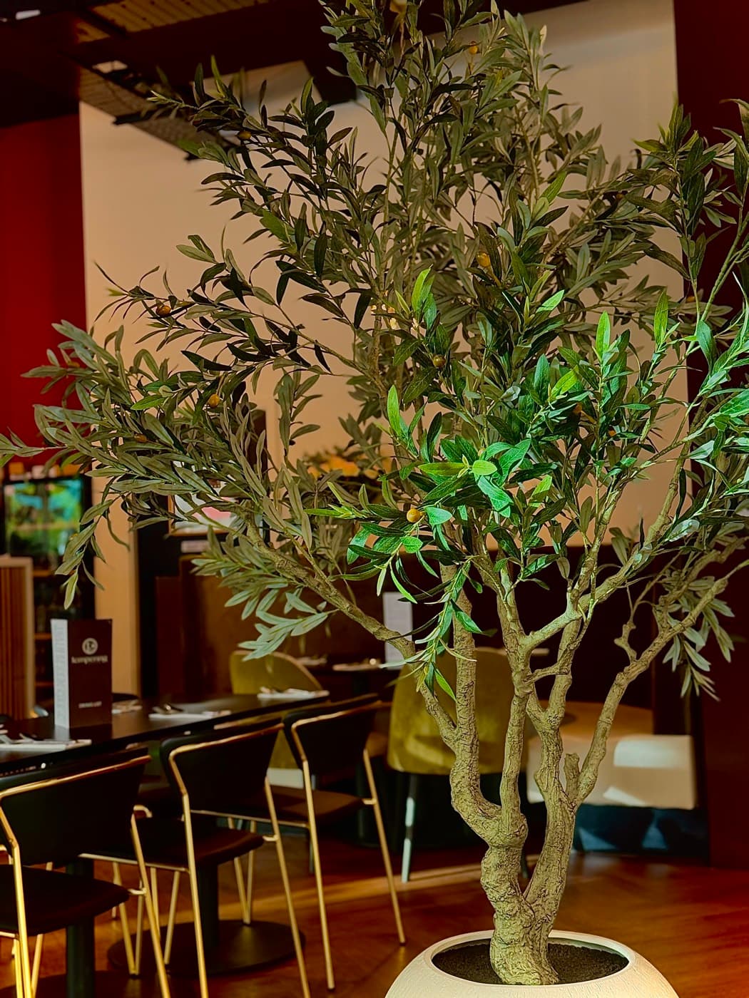 The dining room at Tempering, with a large olive tree and low, warm lighting